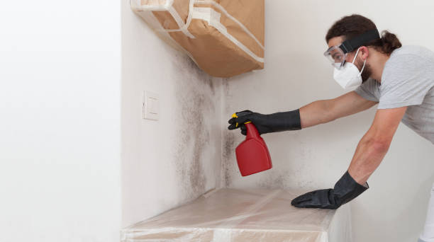Professional Bathroom Mold Removal technician working in Columbus, MN