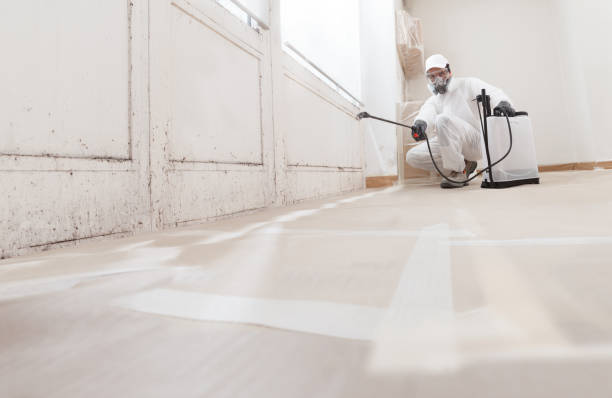 24/7 Emergency Bathroom Mold Removal experts in Columbus, MN