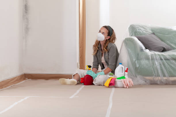 Reliable Bathroom Mold Removal contractor in Columbus, MN by Car Mold Remediation