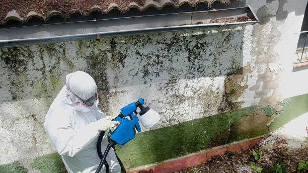 Top rated local Bathroom Mold Removal specialists in Columbus, MN